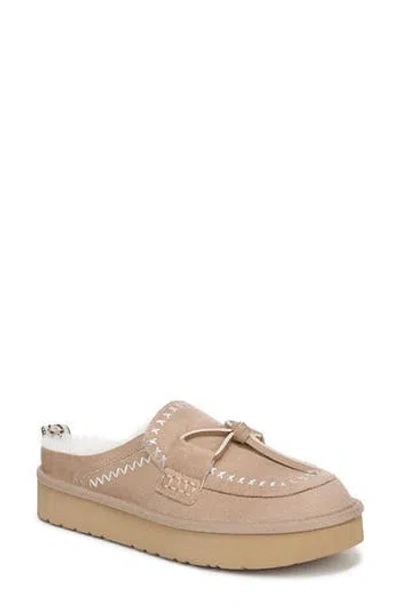 Blowfish Malibu Women's Montreal Mule Clogs In Multi