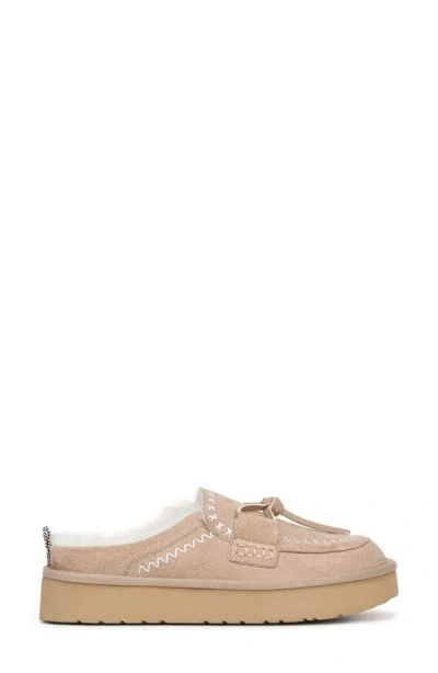 Blowfish Malibu Women's Montreal Mule Clogs In Multi