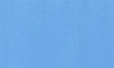 Tommy Hilfiger Kids' Ivy Cotton Polo In Blue