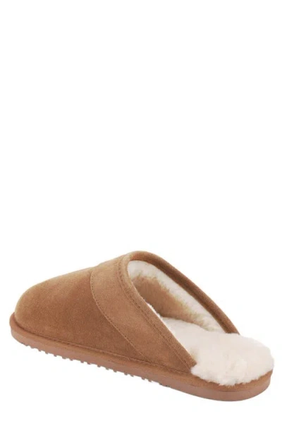 Mykos Edward Faux Shearling Lined Slipper In Multi
