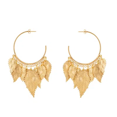 Pat’s Jewelry Women's Gold Lisa Earrings In Gold