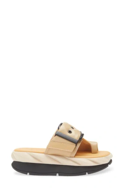 4ccccees Mellow Glow Toe Loop Platform Sandal In Brown