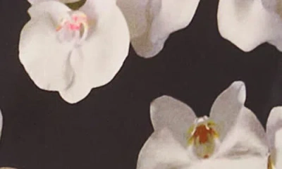 Ted Baker Floral Tie Neck Button-up Shirt In Black