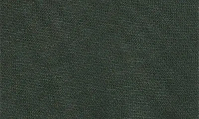 Merz B Schwanen Organic Cotton Hoodie In Green