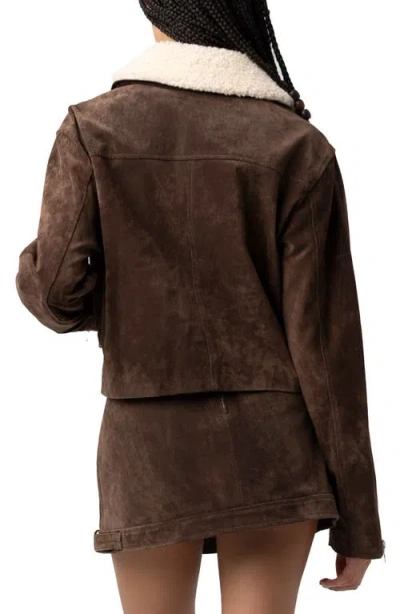 Blanknyc Suede & Faux Shearling Crop Jacket In Brown