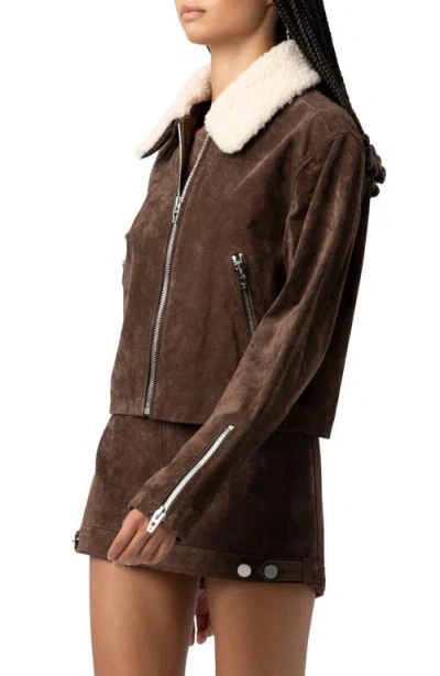 Blanknyc Suede & Faux Shearling Crop Jacket In Brown