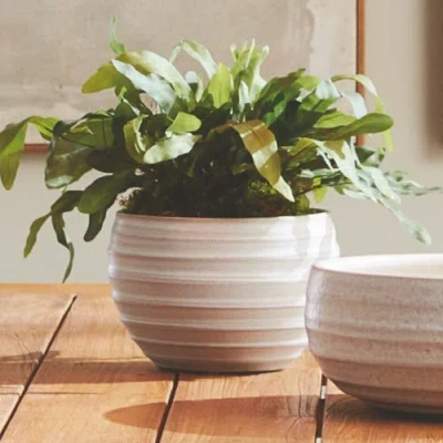 Napa Home & Garden Chryssa Planter In White