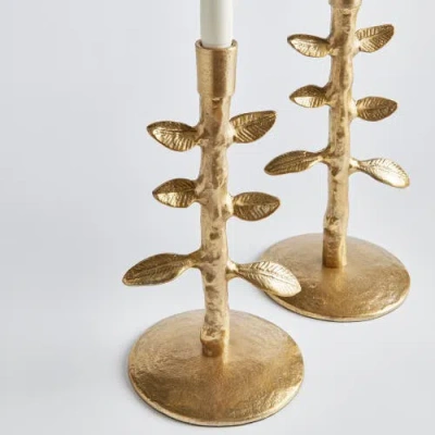 Napa Home & Garden Brier Taper Candle Holders Set Of 2 In Gold