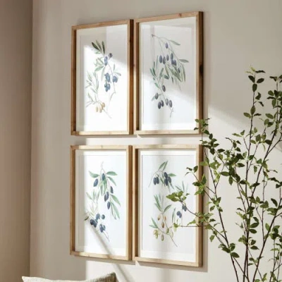 Napa Home & Garden Olive Stems Study Set Of 4 In Multi