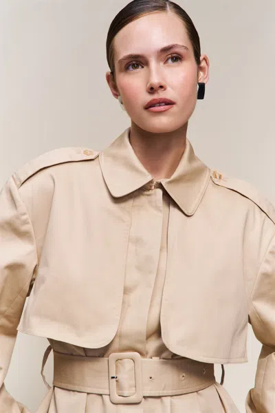 Danielle Guizio Ny Thea Trench Coat In Brown