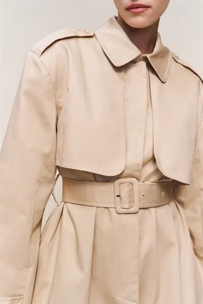 Danielle Guizio Ny Thea Trench Coat In Brown