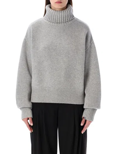 Extreme Cashmere Roll-neck Long-sleeve Sweater In Gray