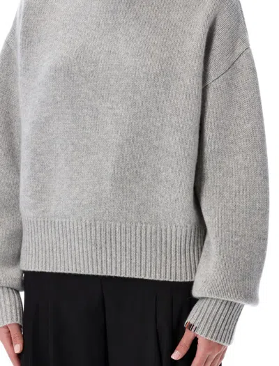 Extreme Cashmere Roll-neck Long-sleeve Sweater In Gray