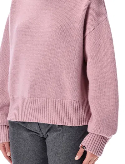 Extreme Cashmere Ribbed Roll-neck Sweater In Pink