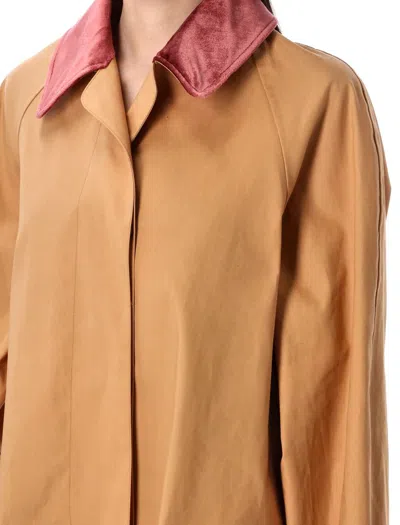 Prada Camel Cotton Overcoat In Brown