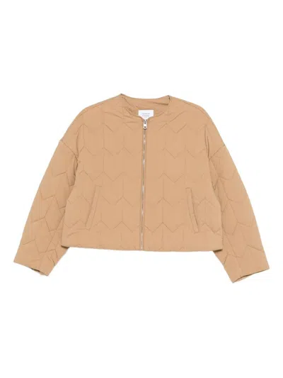 Maison Kitsuné Quilted Jacket Clothing In Animal Print