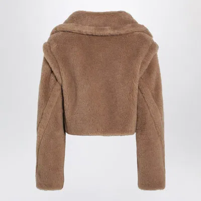Max Mara Short Teddy Coat In Multi