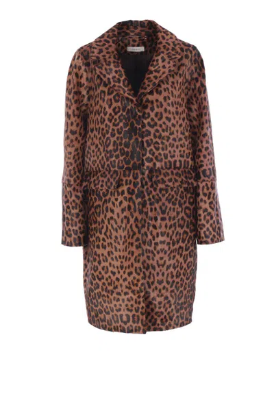 Mine Bilgi Coats In Animal Print