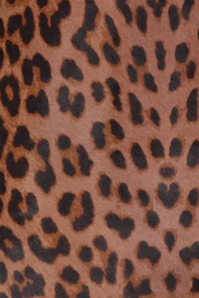 Mine Bilgi Coats In Animal Print