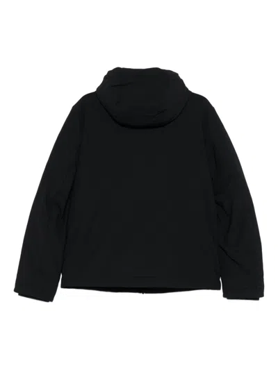 Ea7 Gold Label Hooded Jacket In Black