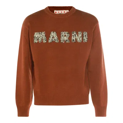 Marni Sweaters Maroon In Brown