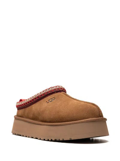Ugg Tazz Ii Suede Slipper In Brown