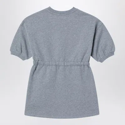 Chloé Long-sleeve Grey Dress With Logo In Gray