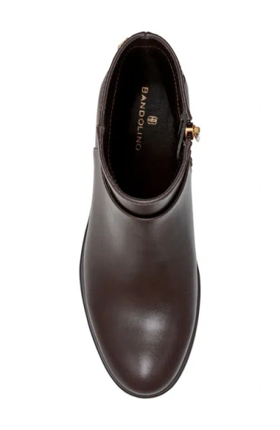 Bandolino Women's Despina Block Heel Ankle Booties In Brown