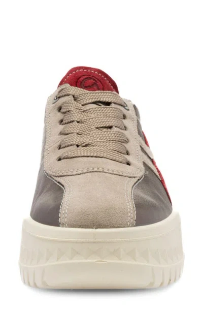 Ara Mint Platform Sneaker In Multi