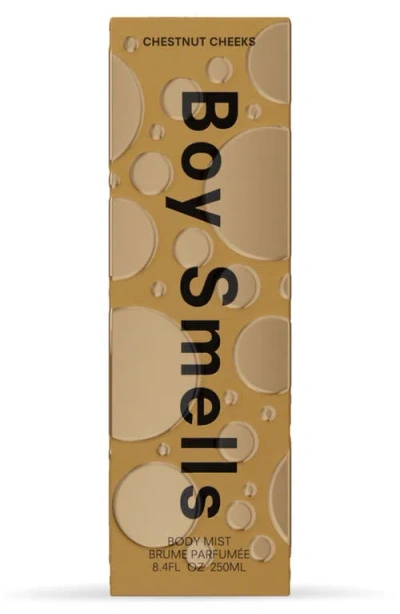 Boy Smells Chestnut Cheeks Shimmer Mist In Transparent