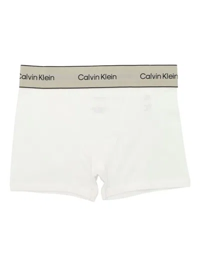 Calvin Klein Logo-detail Waistband Briefs In White