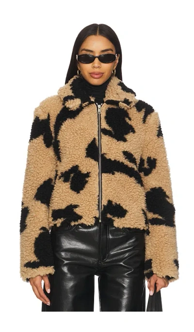 Msgm Follow The Rabbit Jacket In Animal Print