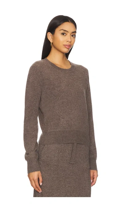 Naadam Crew Pullover In Brown