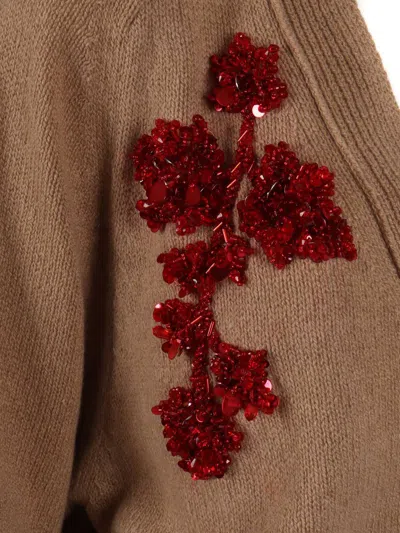 Alberta Ferretti Girocoll In Brown