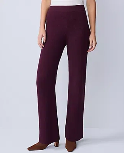 Ann Taylor Petite Weekend Collection Waffle Sweater Pant In Purple