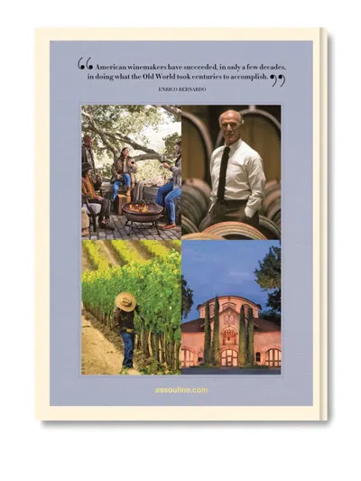 Assouline Coffee Table Books Blue Uni In Multi