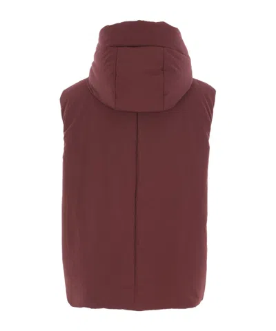 Jil Sander High Neck Hooded Padded Vest In Burgundy