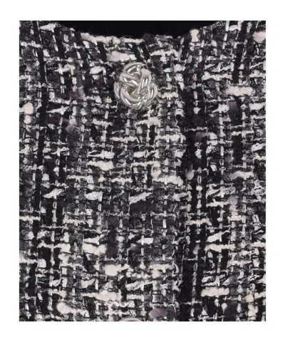 Tagliatore Single-breasted Tweed Jacket In Gray