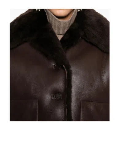 David Koma Fur-trimmed Leather Jacket In Brown