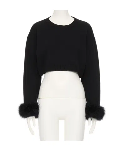 Valentino Cashmere Jumper With Feathers In Black