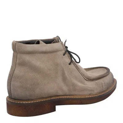 Pawelk's Beige Laced Up Shoes In Brown