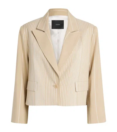 Joseph Embroidered Stripe Berlier Blazer In Neutral