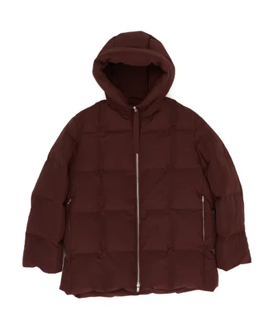 Jil Sander Hooded-neck Padded Jacket In Brown