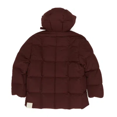 Jil Sander Hooded-neck Padded Jacket In Brown