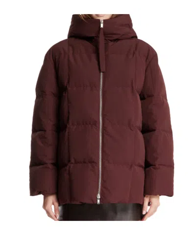 Jil Sander Hooded-neck Padded Jacket In Brown
