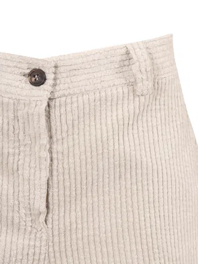 Antonelli Belt Loop Casual Pants In Neutral