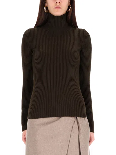 Max Mara Ribbed Turtleneck Sweater In Green
