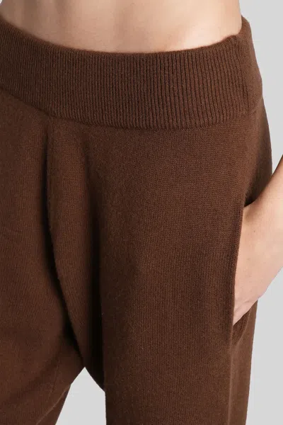 Entire Studios Pants In Brown Wool In Brown