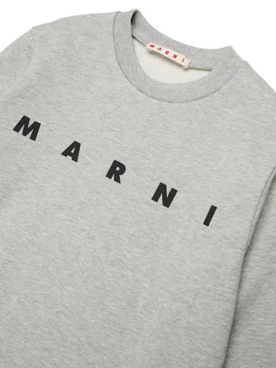 Marni Logo Crew-neck Sweatshirt In Gray
