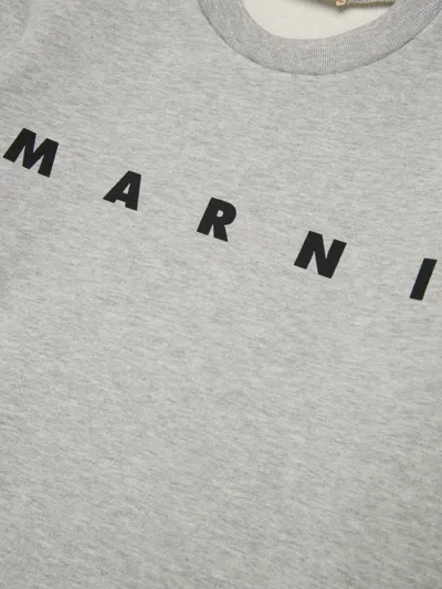 Marni Logo Crew-neck Sweatshirt In Gray